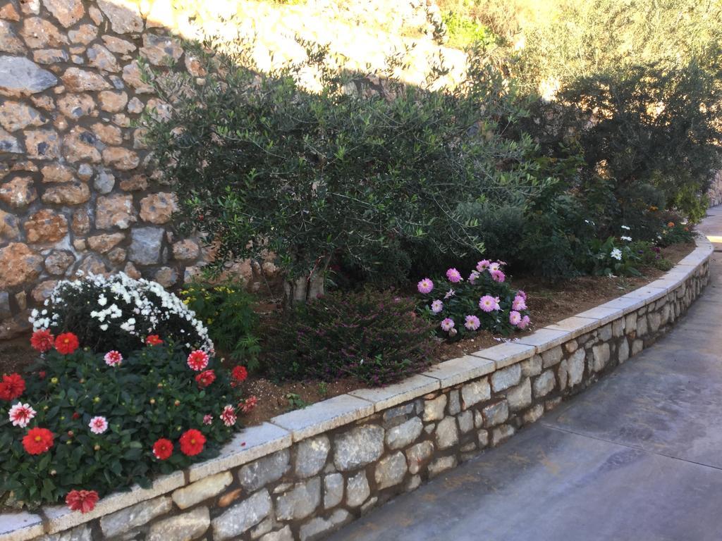 דירות קלמאטה Petra Thea מראה חיצוני תמונה